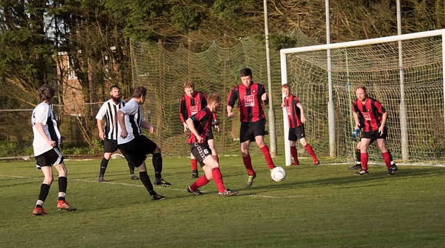 能帮助我们 能帮助我们