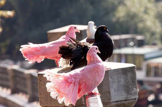 沟通型领导 沟通型领导
