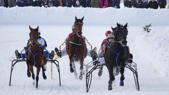 企业投资 企业投资