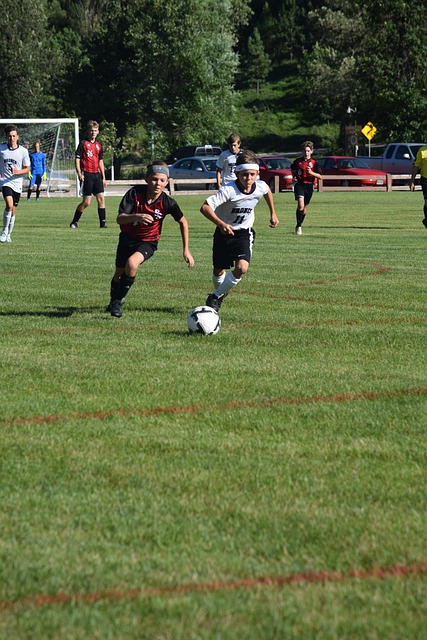 奥运冠军巡 奥运冠军巡