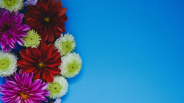 可或缺的一 可或缺的一