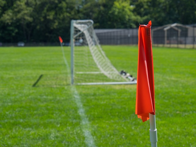 素的纪念品 素的纪念品